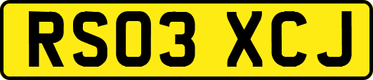 RS03XCJ