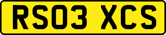 RS03XCS