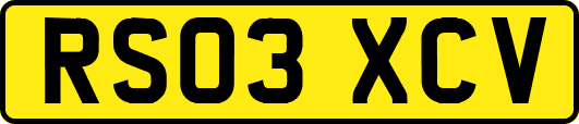 RS03XCV