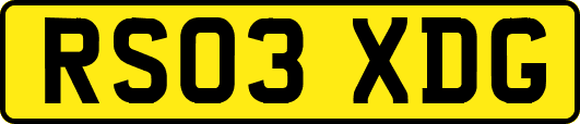 RS03XDG