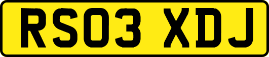 RS03XDJ