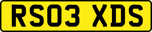 RS03XDS