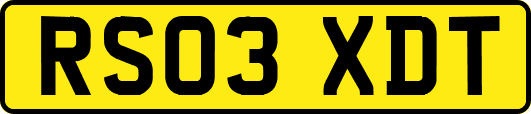 RS03XDT