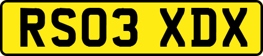 RS03XDX