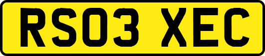RS03XEC