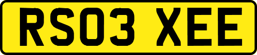 RS03XEE