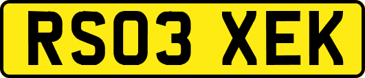 RS03XEK