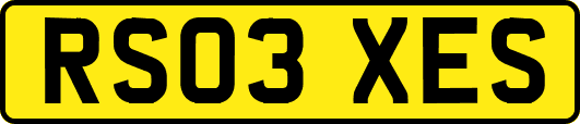 RS03XES