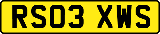 RS03XWS