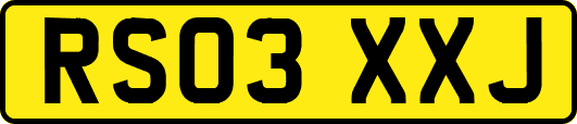 RS03XXJ