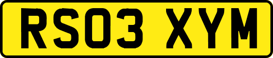RS03XYM