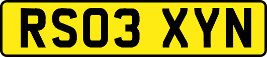 RS03XYN