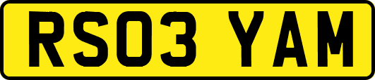 RS03YAM