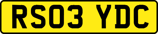 RS03YDC