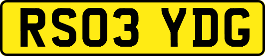 RS03YDG