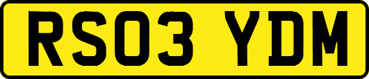 RS03YDM