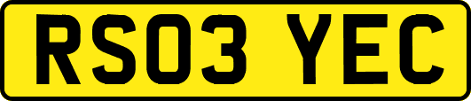 RS03YEC