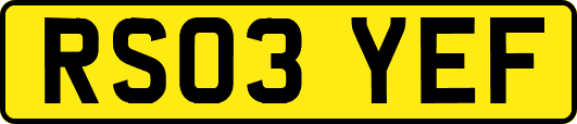 RS03YEF