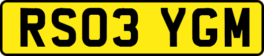 RS03YGM