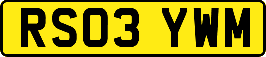 RS03YWM