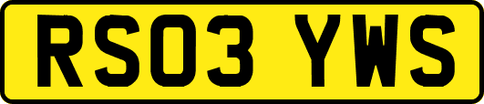 RS03YWS
