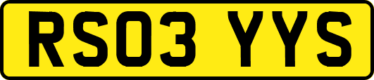 RS03YYS