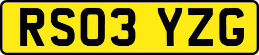 RS03YZG