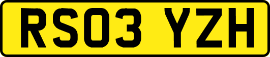RS03YZH