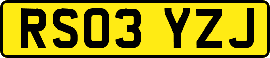 RS03YZJ