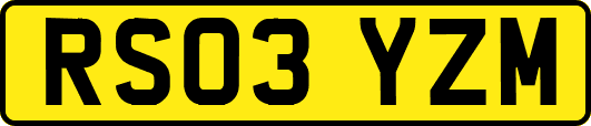 RS03YZM