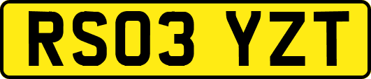 RS03YZT