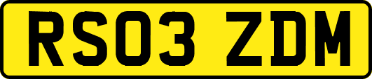 RS03ZDM