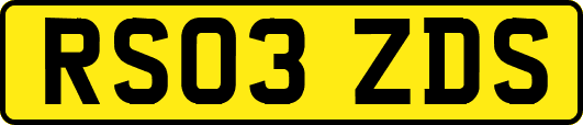 RS03ZDS