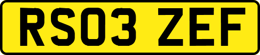 RS03ZEF