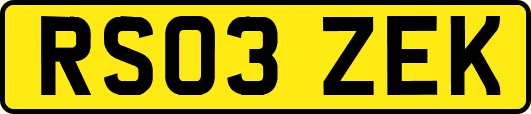RS03ZEK