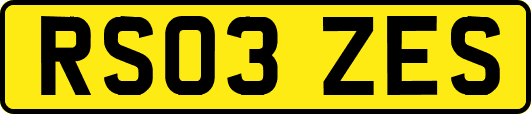 RS03ZES