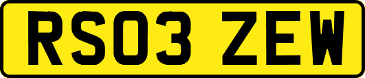 RS03ZEW