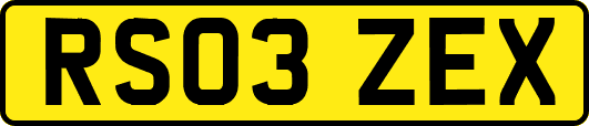 RS03ZEX