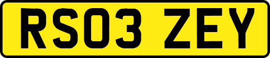 RS03ZEY