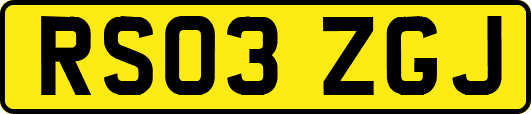 RS03ZGJ