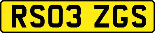 RS03ZGS