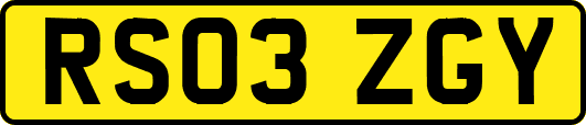 RS03ZGY