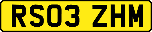 RS03ZHM