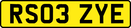 RS03ZYE