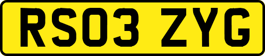 RS03ZYG