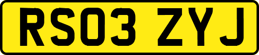 RS03ZYJ