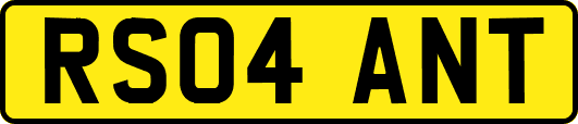 RS04ANT