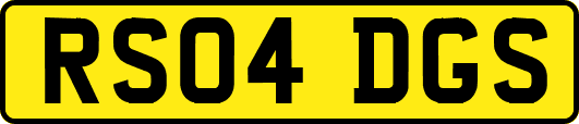 RS04DGS
