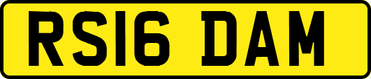 RS16DAM