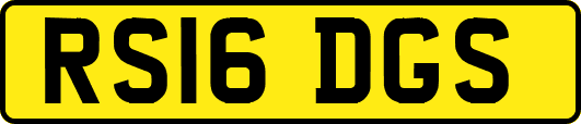 RS16DGS